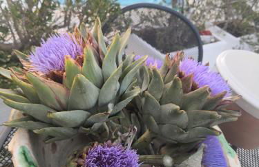 Agriturismo Salinola - Foto 108