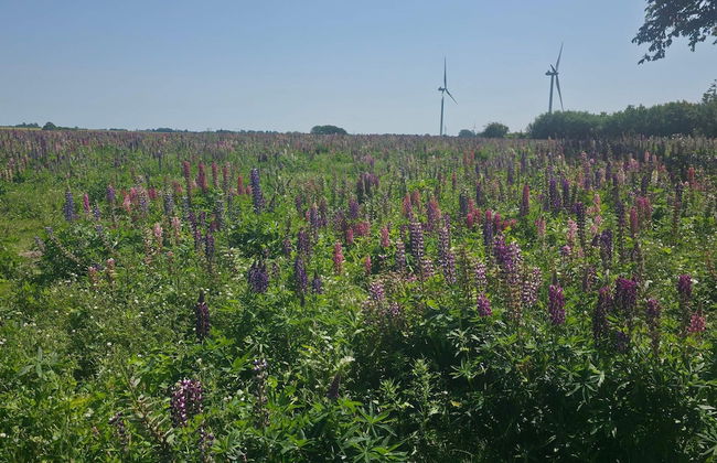Luxury Spa Retreat in Lolland - By Traum Ferienwohnungen - Foto 16