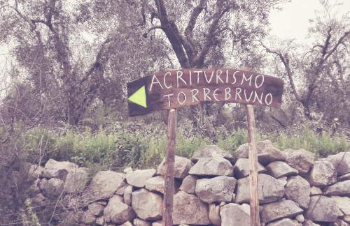 Torre Bruno - Foto 50