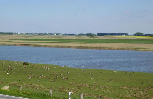 Haus-Halligblick-Ferienwohnungen-am-Meer - Foto 24