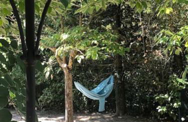 Mazet avec piscine, vue Ventoux - Foto 26