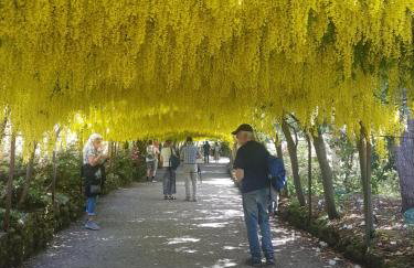 Railway Cottage - Foto 42