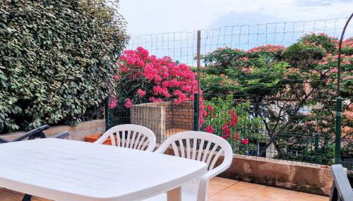 Studio cabine avec terrasse et parking à Banyuls-sur-Mer - FR-1-309-277 - Foto 4