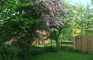 Ferienwohnung Sonnentraum - Foto 35