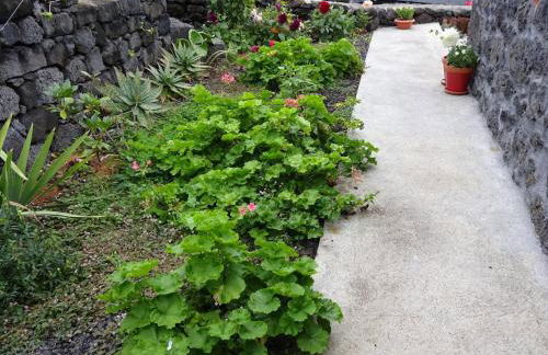 Adega Baia do Canto AL 1398 - Photo 12