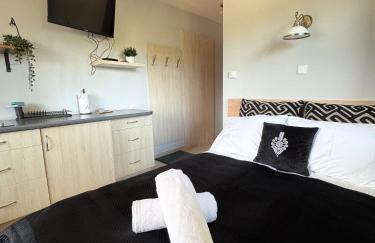 Willa Chrycówka - Jacuzzi, Basen, Sauna - Foto 32