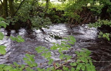 Lower Turnerford Farmhouse - Foto 12