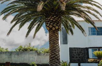 Ocean View Villa Retreat Quinta do Sol - Photo 39