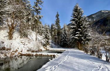 Ferienwohnungen Zipflwirt - Foto 23