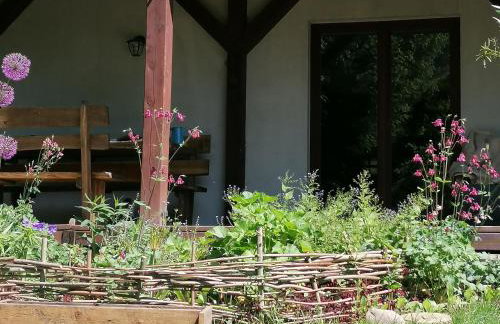 Wyciszek - mazurska agroturystyka - Foto 43