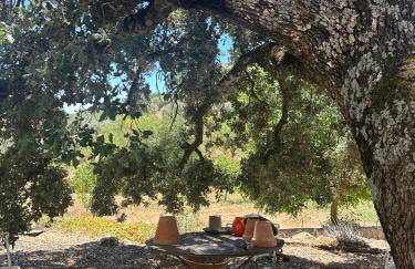 3 Bed Lodge - Sleeps 6 - Pool - Terrace - Parking - Foto 19