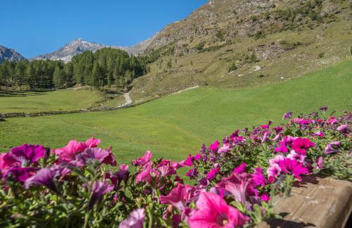 Fewo Sonnenuntergang - Zeppichl - Photo 29