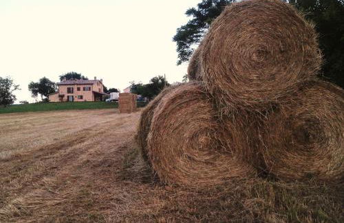 Agriturismo bio Verde Armonia - Photo 33