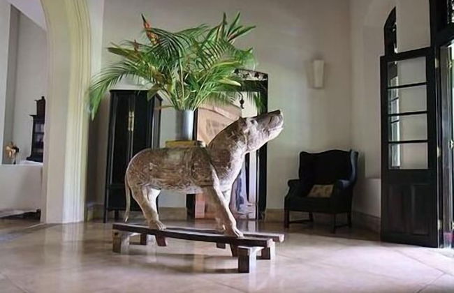 Galle Henna Estate - Foto 31