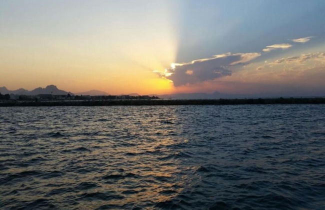 Relaxing Garden Stay, Denia - Foto 39