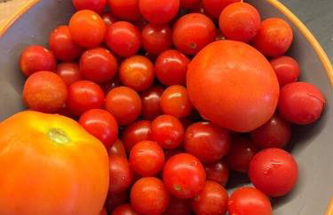 NEPTUNE OASIS Villa - Foto 7