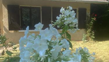 Chalet cosy à la montagne - Foto 4, Garden, Garden view