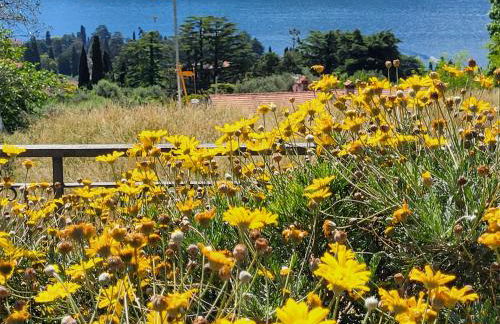 Casa Intignano - Camera con bagno e portico vista lago - Foto 23
