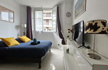 Studio très joli rénové quartier Notre-Dame Jardin des Plantes Panthéon près de la Seine - Foto 1