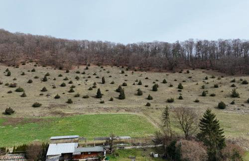 Ferienwohnung an der Altmühl - Apartment Albert - Foto 12