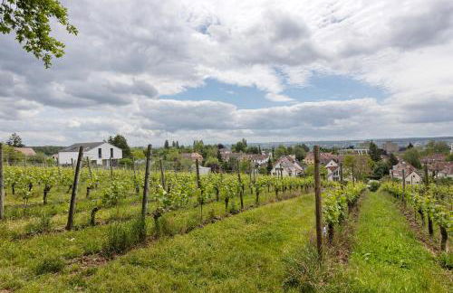 Rotes Haus über den Weinbergen - Foto 30