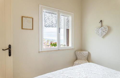 Sassi Scritti - Acero Montano - Photo 11