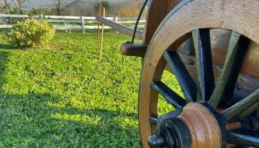 Villa Matilde - Foto 3