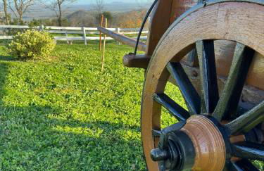 Villa Matilde - Foto 3