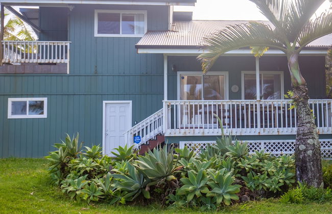 Hale Honu 2 Bedroom Home by RedAwning - Photo 19