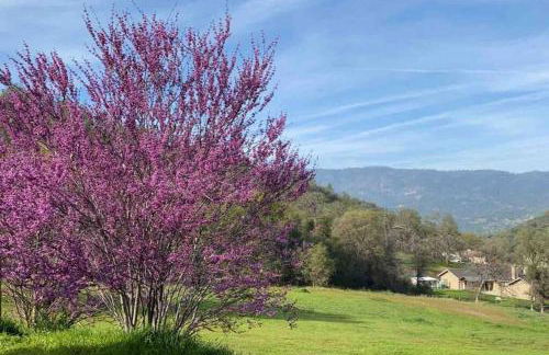 Waxberry Getaway Sequoia/Kings Canyon National Pks - Foto 50