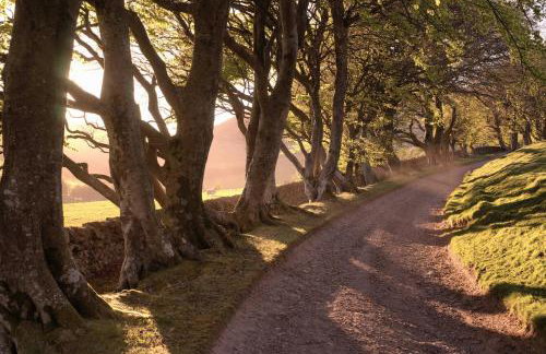 Eastside Byre - Family cottage in the Pentland Hills near Edinburgh - Foto 29