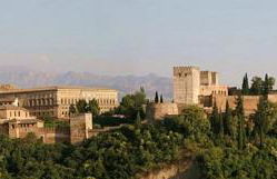 Tropical Studio - Foto 54