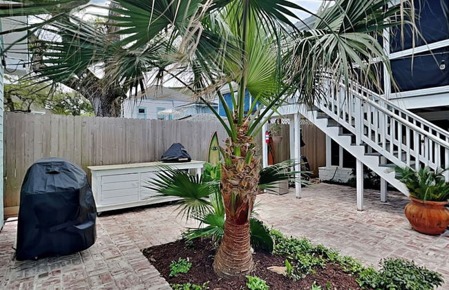 Lost Palms - Foto 61