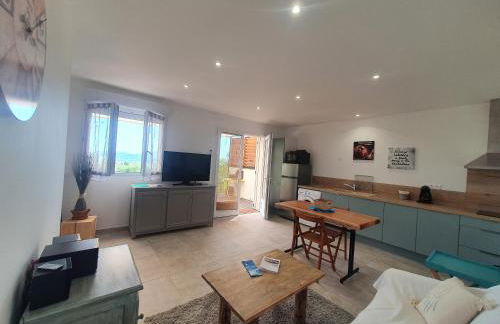 Très belle Résidence vue mer et piscine chauffée - BACCALOCATION - Foto 18