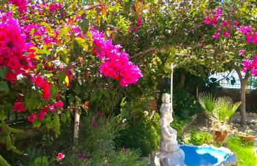 Villa Tripepi - Foto 14