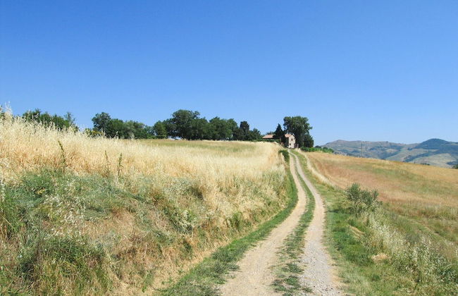 Casale Donatelli in Radicofani - Photo 37