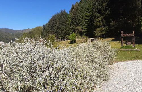 Il Bosco di Campo Marzano green & sky - Foto 52