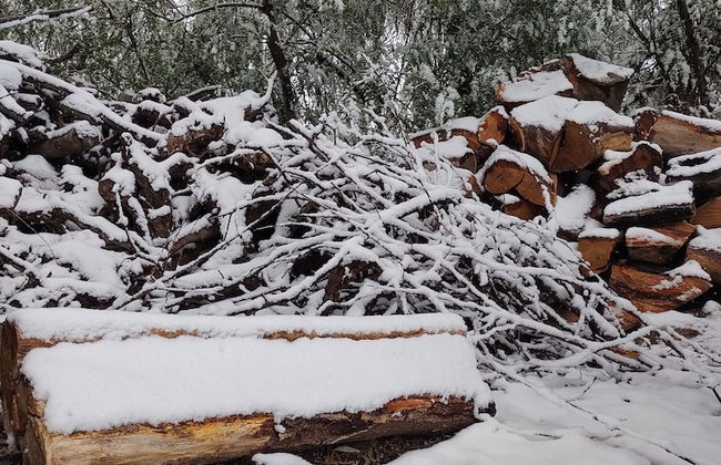 Viento Andino - Foto 23