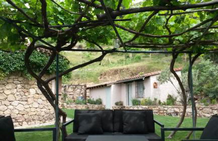 Abejas 1 de El Vergel de Chilla - Foto 54