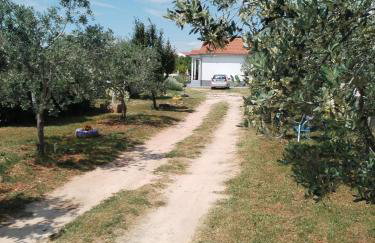 Apartman Grbić - Photo 1