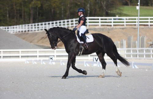 Agroturystyka Ranczo Gościszów - Foto 19