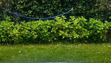 La casuca del jardín - Foto 4, Garden