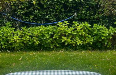 La casuca del jardín - Foto 4