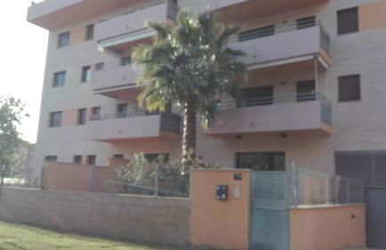 rosa sensat - Foto 14