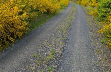 Hochwald Balkon - Foto 35