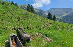 Appartamento Casa AleF - L'affaccio sul Lagorai - Foto 16