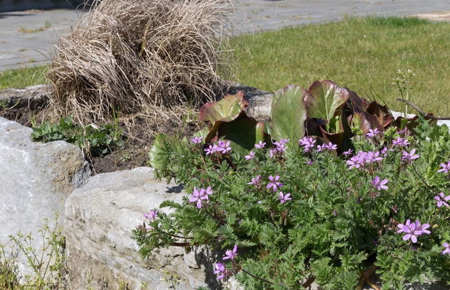 Beachside Getaway With Garden & Barbecue - Foto 28