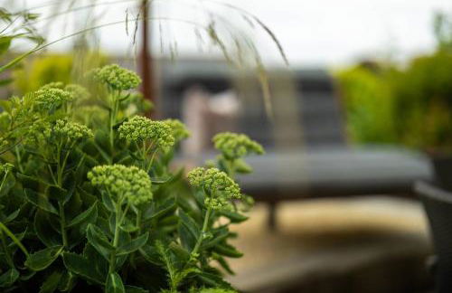 Ferienwohnung "Kirchblick" im Ferienhaus Blumenhain - Foto 31