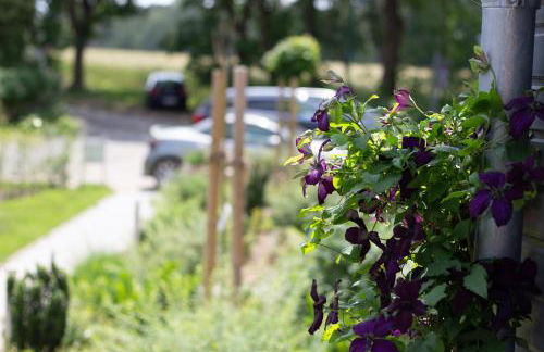 Heideträume Appartements - Foto 9