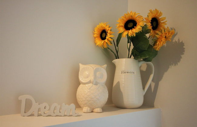 Woodlane Cottages - Foto 36